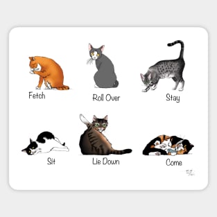 Cat Commands Magnet